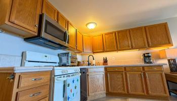 Wavecrest condo # A203, Kaunakakai, Hawaii - photo 4 of 16