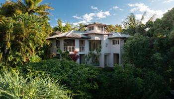 715  N Honokala Rd Huelo/twin Falls,  home - photo 1 of 50