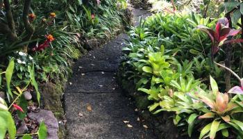 725  Nahiku Rd Lower Nahiku,  home - photo 1 of 28