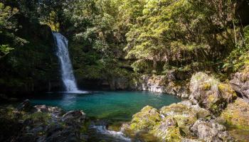 725  Nahiku Rd ,  home - photo 1 of 31