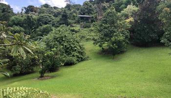 725  Nahiku Rd Lower Nahiku, Nahiku home - photo 3 of 28