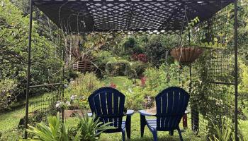 725  Nahiku Rd Lower Nahiku, Nahiku home - photo 4 of 28