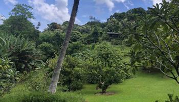 725  Nahiku Rd Lower Nahiku, Nahiku home - photo 6 of 28