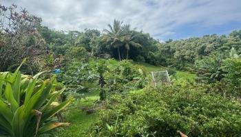 725  Nahiku Rd Lower Nahiku, Nahiku home - photo 6 of 31