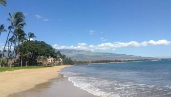 Nani Kai Hale condo # 307, Kihei, Hawaii - photo 4 of 17