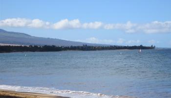 Nani Kai Hale condo # 406, Kihei, Hawaii - photo 4 of 28