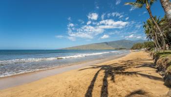 Nani Kai Hale condo # 502, Kihei, Hawaii - photo 1 of 35