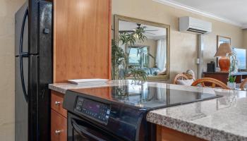 Nani Kai Hale condo # 602, Kihei, Hawaii - photo 4 of 47