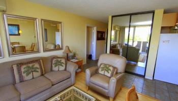 Nani Kai Hale condo # 303, Kihei, Hawaii - photo 4 of 29