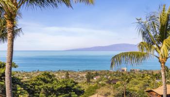 738  Lanina Pl Maui Meadows, Maui Meadows home - photo 4 of 50