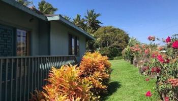 7380  Kamehameha V Hwy Ualapue, Molokai home - photo 4 of 30