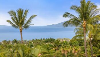 744  Lanina Pl Maui Meadows, Maui Meadows home - photo 2 of 50