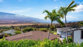 757  KAKALINA Pl Wailuku Heights, Wailuku home - photo 6 of 50