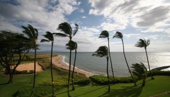 Menehune Shores condo # 106, Kihei, Hawaii - photo 2 of 15