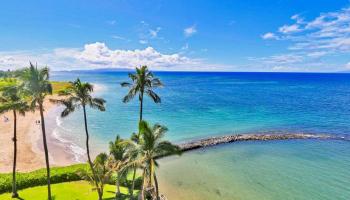 Menehune Shores condo # 108, Kihei, Hawaii - photo 5 of 30