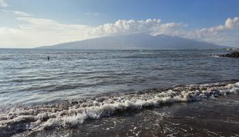 Menehune Shores condo # 310, Kihei, Hawaii - photo 3 of 15
