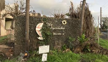 Spinnaker condo # D224, Lahaina, Hawaii - photo 1 of 1