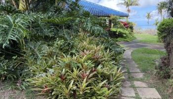 767  Holopunii Rd Kula,  home - photo 1 of 9
