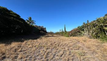 769 Kumulani Dr  Kihei, Hi vacant land for sale - photo 2 of 5