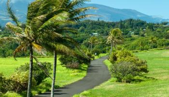 770 Kai Huki Cir Lot 8 Haiku, Hi vacant land for sale - photo 5 of 7