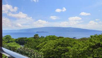 La'i Loa condo # 202 (14D), Kihei, Hawaii - photo 3 of 48