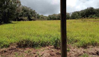#8 Awalau Rd Phillips Subdivision #8 Haiku, Hi vacant land for sale - photo 6 of 12