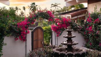 8  Manu Ihu Pl Wailea,  home - photo 1 of 50