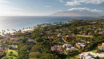 8  Manu Ihu Pl Wailea, Wailea/Makena home - photo 4 of 50
