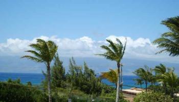 Napili Villas condo # 1, Lahaina, Hawaii - photo 4 of 23