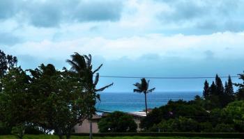 Napili Villas condo # 5, Lahaina, Hawaii - photo 5 of 18