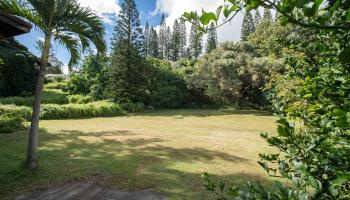 80  Mokuahi St Makawao, Makawao/Olinda/Haliimaile home - photo 2 of 44