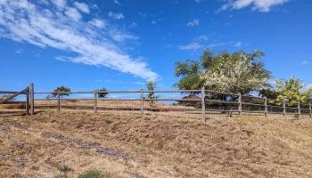 80 Opalipali Pl  Kula, Hi vacant land for sale - photo 4 of 12