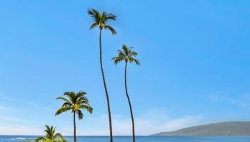 Koa Lagoon condo # 206, Kihei, Hawaii - photo 2 of 28