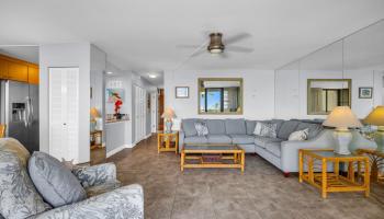 Koa Lagoon condo # 206, Kihei, Hawaii - photo 6 of 28
