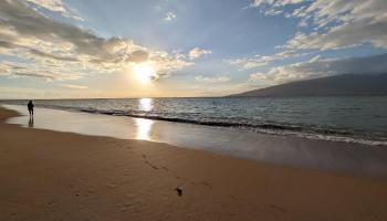 Koa Lagoon condo # 504, Kihei, Hawaii - photo 6 of 50