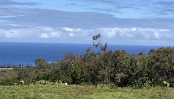 800 Mahana Ridge Pl Lot 47 Lahaina, Hi vacant land for sale - photo 4 of 5
