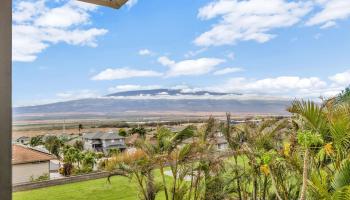 801  Haawi St ,  home - photo 1 of 50