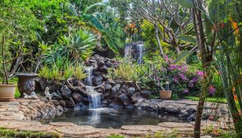 802  Mahealani Pl ,  home - photo 1 of 50