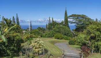 8040  Hana Hwy Kailua, Haiku home - photo 2 of 50