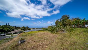 805 Kukia Pl A Kula, Hi 96790 vacant land - photo 2 of 18 805 Kukia Pl A Kula, Hi 96790 vacant land - photo 2 of 18