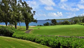 Kapalua Ironwoods condo # 81, Lahaina, Hawaii - photo 3 of 50