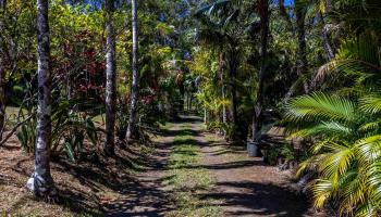 81  Kapuai Rd , Haiku home - photo 4 of 50