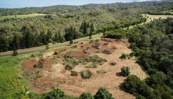 81 Keoawa Pl  Lahaina, Hi vacant land for sale - photo 3 of 10