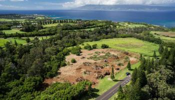 81 Keoawa Pl  Lahaina, Hi vacant land for sale - photo 5 of 10