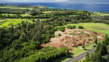 81 Keoawa Pl  Lahaina, Hi vacant land for sale - photo 6 of 10
