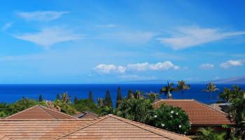 81  Piki Pl Kaanapali, Kaanapali home - photo 3 of 50