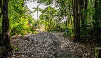 810  Upper Ulumalu Rd Ulumalu, Haiku home - photo 2 of 46