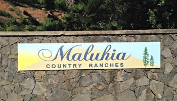 82 Lahaole Pl MCR Lo Wailuku, Hi vacant land for sale - photo 2 of 22