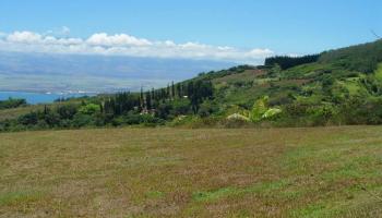 82 Lahaole Pl MCR Lo Wailuku, Hi vacant land for sale - photo 6 of 22