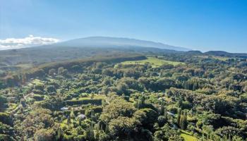 82  Mamao Pl 5 Corners, Haiku home - photo 2 of 20